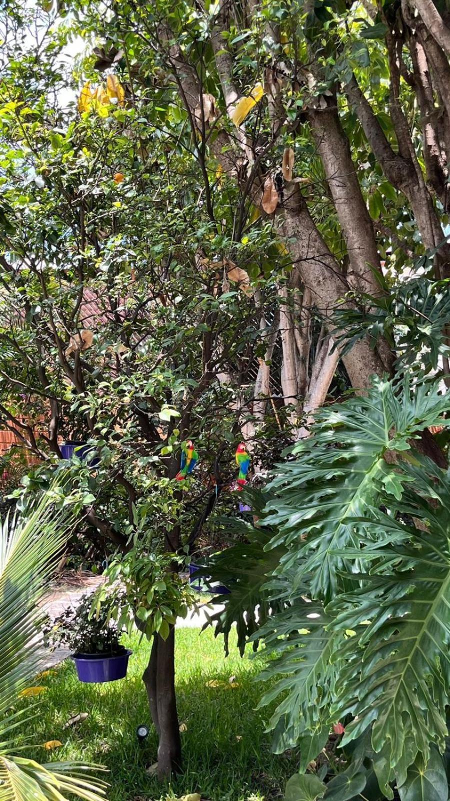 Casa Calnacazco Διαμέρισμα Tepoztlan Εξωτερικό φωτογραφία