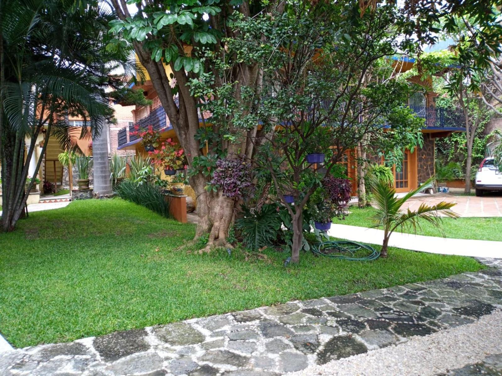Casa Calnacazco Διαμέρισμα Tepoztlan Εξωτερικό φωτογραφία